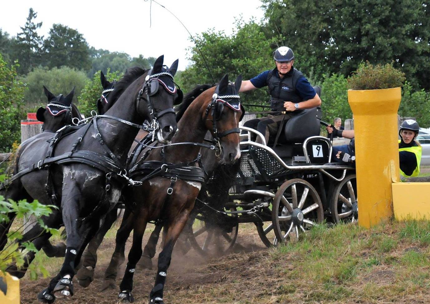 Johan Dengg